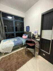 City Square Residences (D8), Condominium #474206161